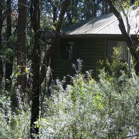 Twin Falls Bush Cottages Fitzroy Falls Ngoại thất bức ảnh