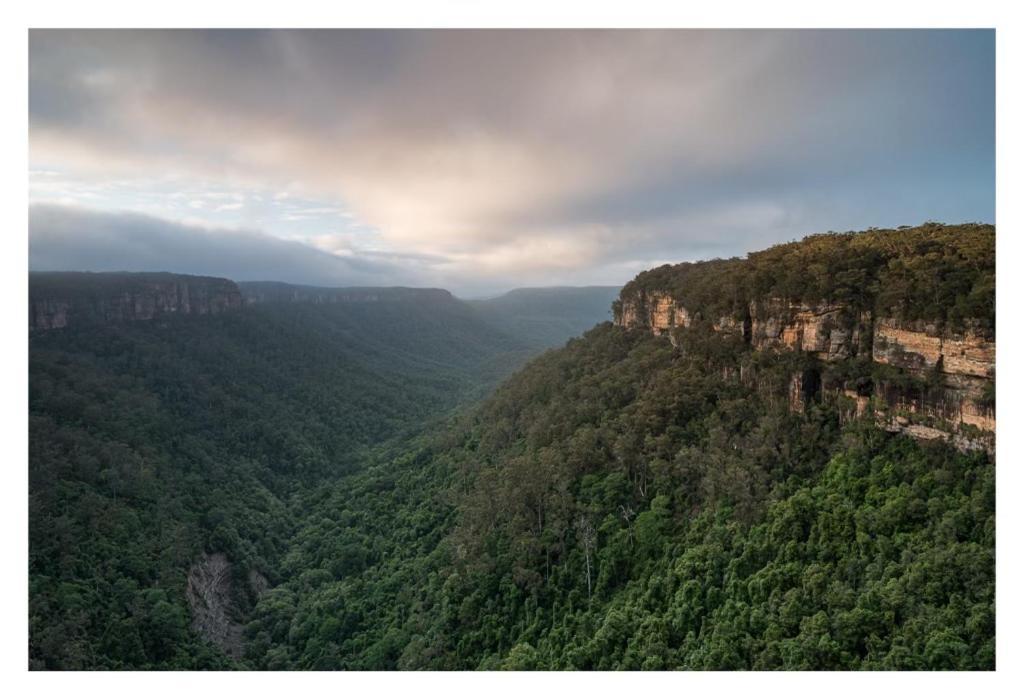Twin Falls Bush Cottages Fitzroy Falls Ngoại thất bức ảnh