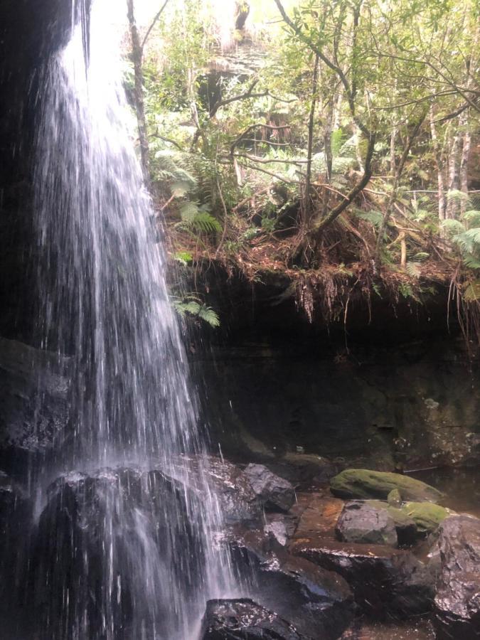 Twin Falls Bush Cottages Fitzroy Falls Ngoại thất bức ảnh