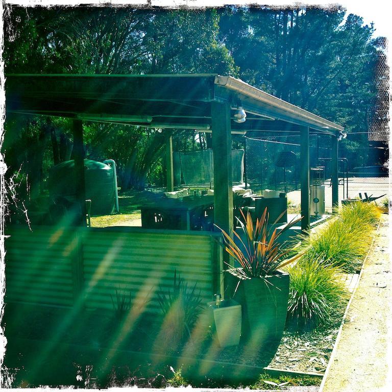 Twin Falls Bush Cottages Fitzroy Falls Phòng bức ảnh