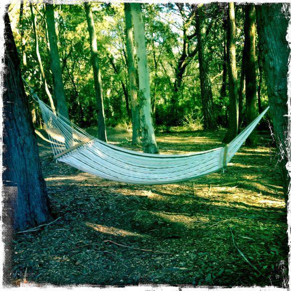 Twin Falls Bush Cottages Fitzroy Falls Phòng bức ảnh