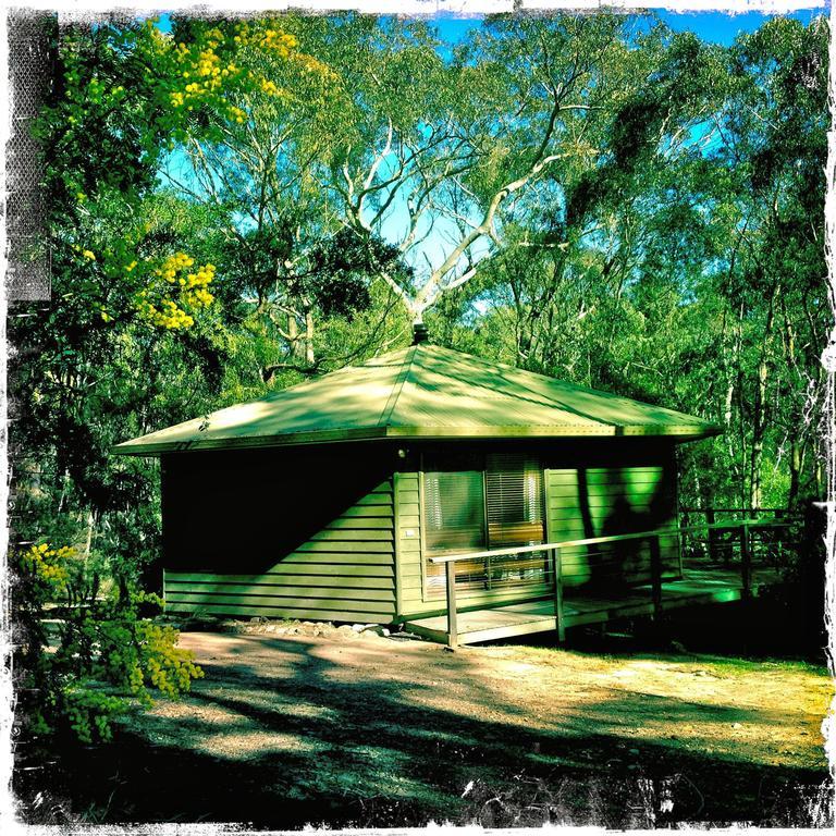 Twin Falls Bush Cottages Fitzroy Falls Phòng bức ảnh