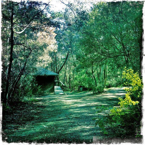 Twin Falls Bush Cottages Fitzroy Falls Phòng bức ảnh