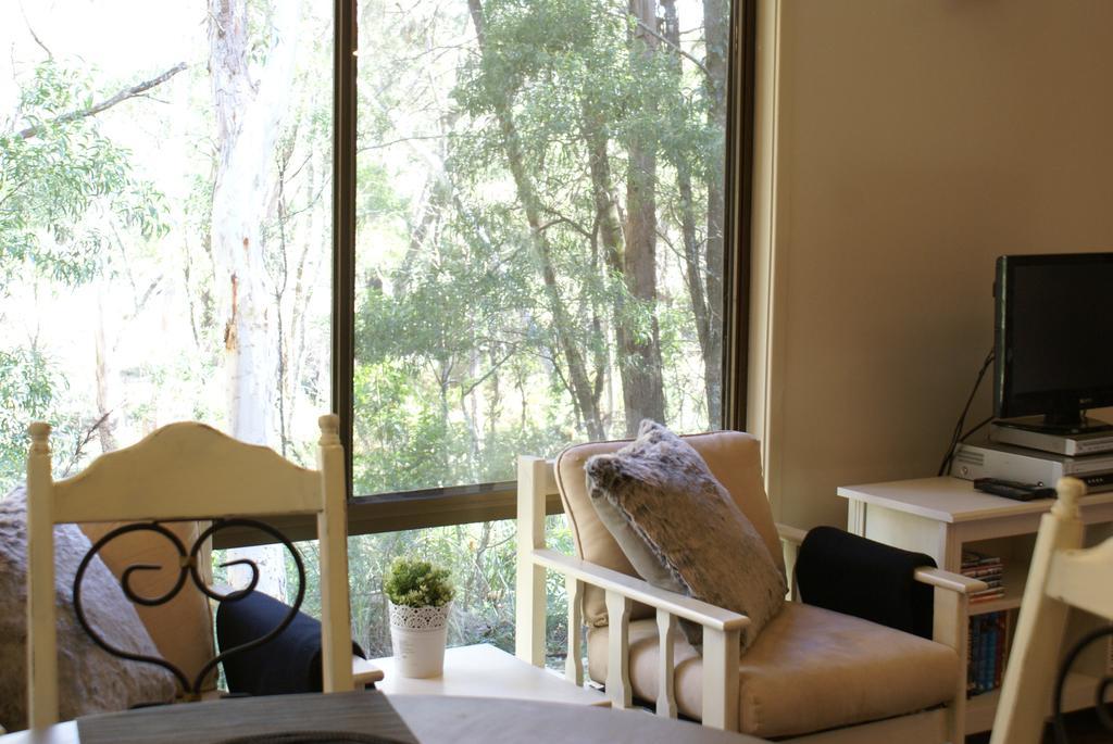 Twin Falls Bush Cottages Fitzroy Falls Ngoại thất bức ảnh