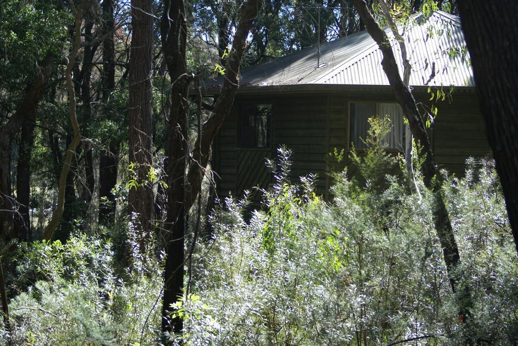 Twin Falls Bush Cottages Fitzroy Falls Ngoại thất bức ảnh