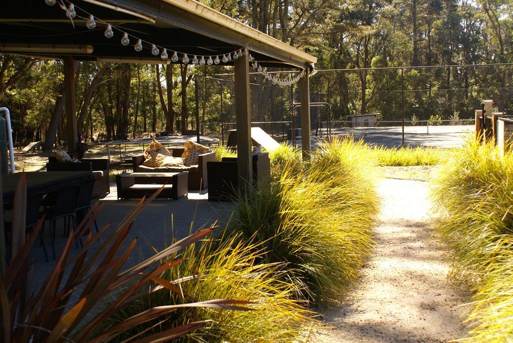 Twin Falls Bush Cottages Fitzroy Falls Ngoại thất bức ảnh